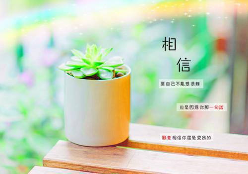 有关个性的励志语录合集99句