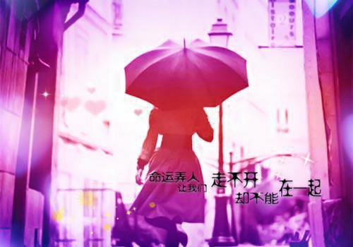 感悟人生生活哲理名言