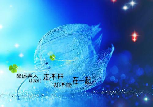 机遇决定成功的名言格言