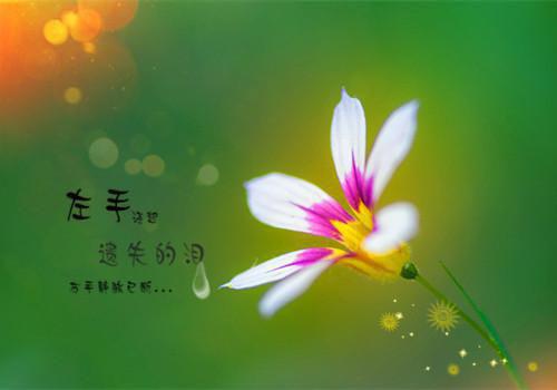 励志的名人经典语录精选