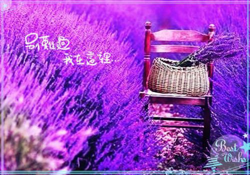挥手间的沧桑