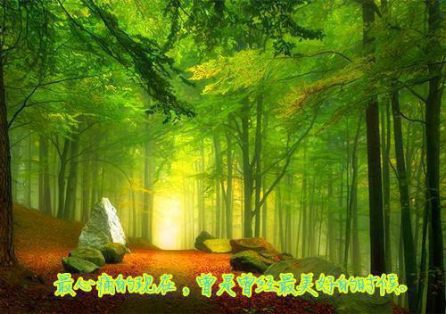 知识品德高尚名人名言