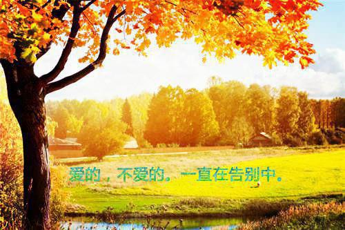 2020最新婚姻保卫战经典台词