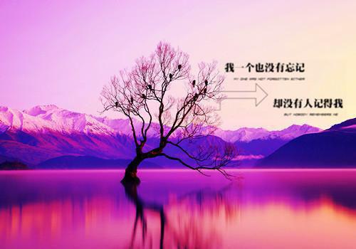 关于爱情分手后的句子