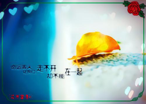初二抒情散文800字左右