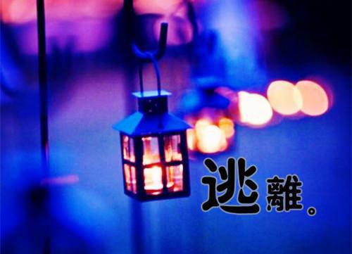 关于校园爱情散文随笔