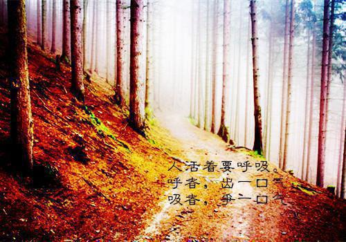 手指间的经典爱情故事