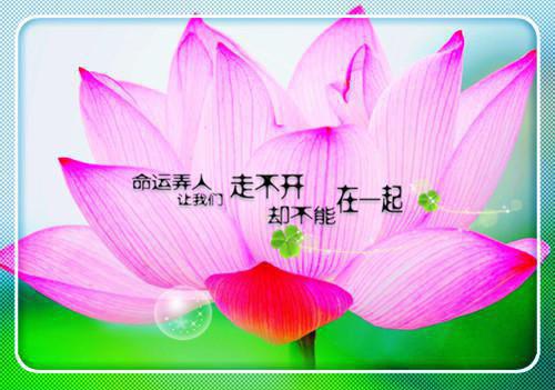 关于励志的现代诗句