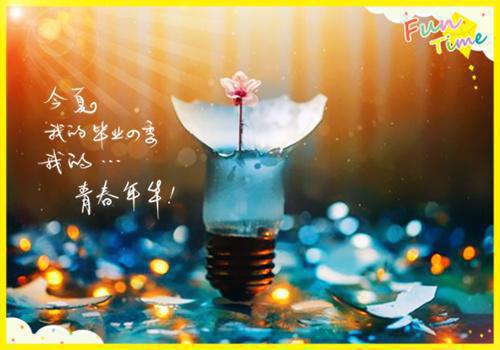 肖组词是哪些