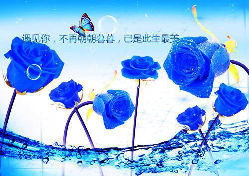 高中的高中故精生僻成語典故精選