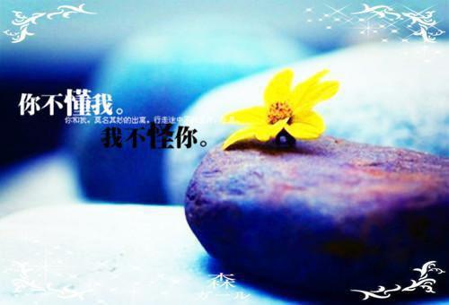 森林童话故事全集