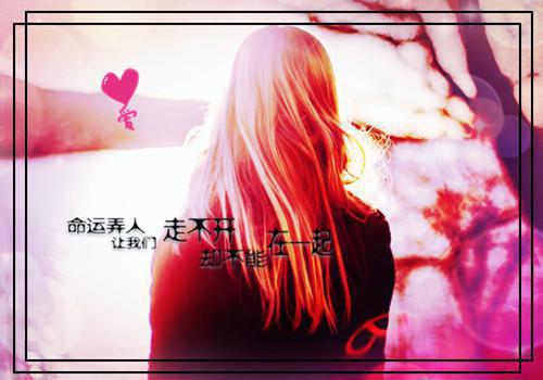 关于集体谚语