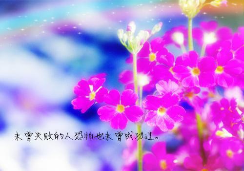 高中励志文章:想要到达繁华，必经一段荒凉