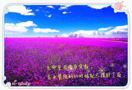 唯美爱情散文《千年之恋》