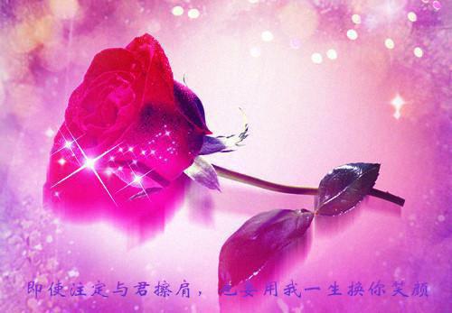 狼国女王读书笔记