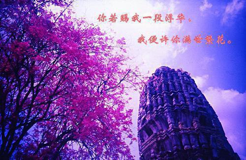 關(guān)于動物的關(guān)于寓言故事450字
