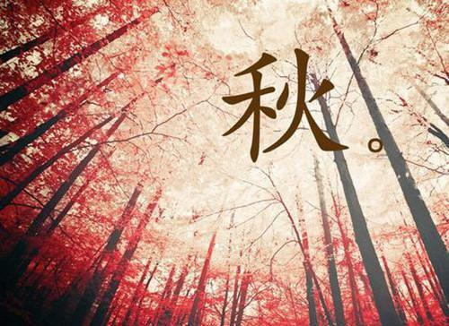 有关大学生励志的优美散文
