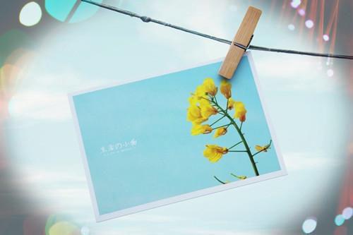逝爱