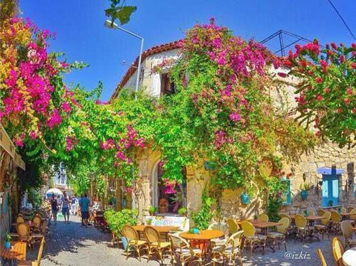 人在星铁:我在罗浮大街等你(永乐景元)最新推荐_最新推荐人在星铁:我在罗浮大街等你(永乐景元)