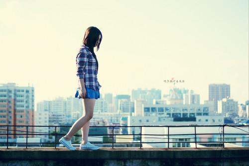 清明迷迭香