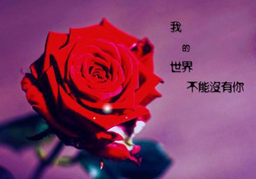 三件宝格林童话故事