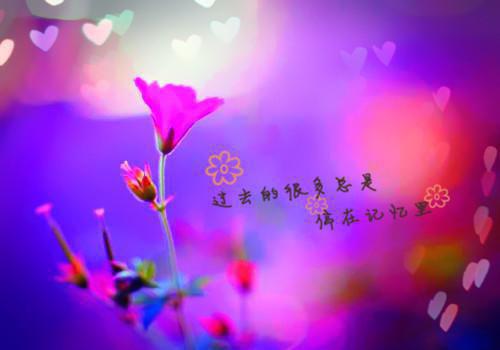 许三多经典台词