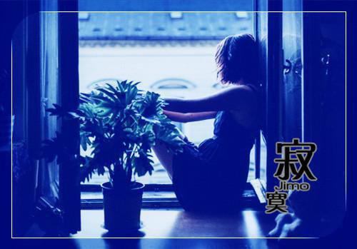 奔跑的树叶