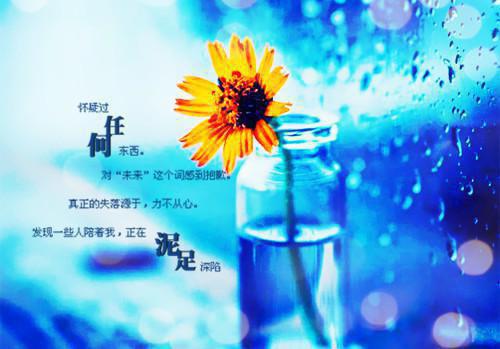 梦想的名言警句