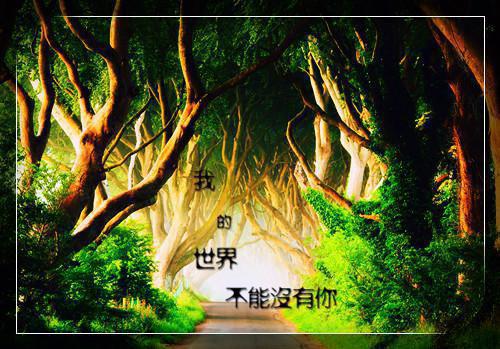 唯美古风诗句