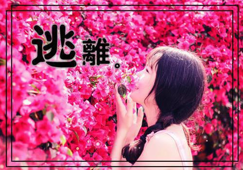 自编寓言故事500字