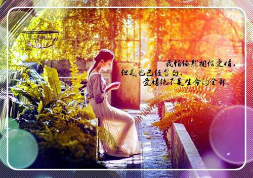 花语作文300字锦集六篇
