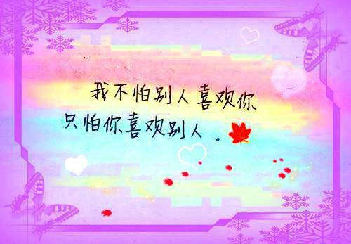 有关法律的名言好句