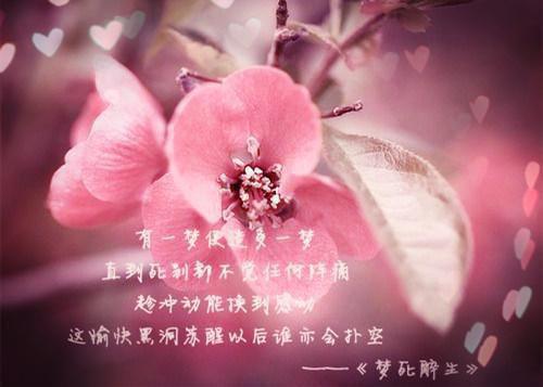教师励志的名言名句