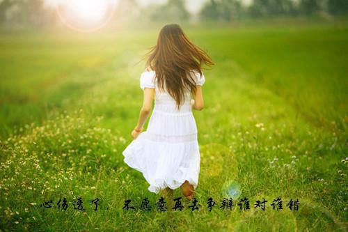 《钢琴之森》观后感