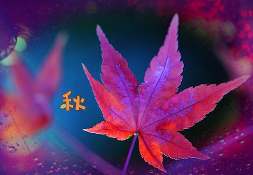 希望朋友每一天都快乐的生日短信