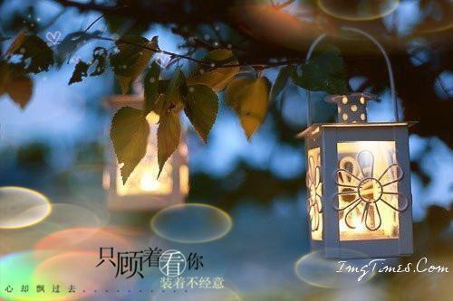 唯美伤感句子表达心情