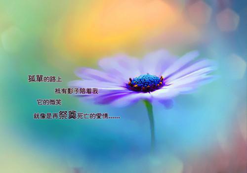催泪感人的爱情小故事