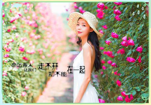 最新幼儿绕口令大全