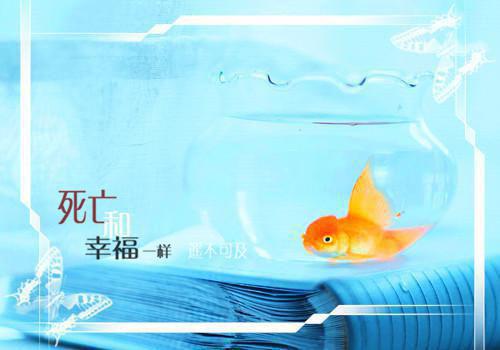 【推荐】班主任评语集锦39条