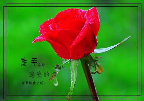 优秀短篇散文