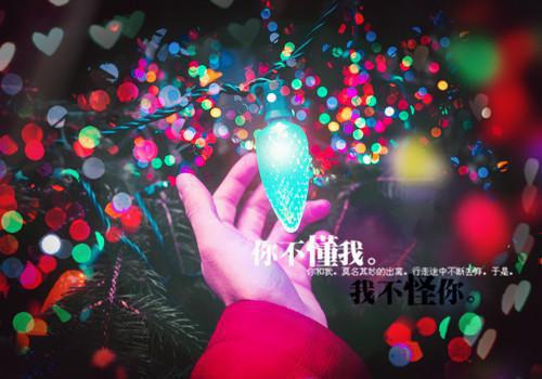 关于校园爱情的散文随笔