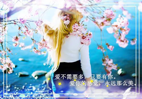 几句唯美的话语