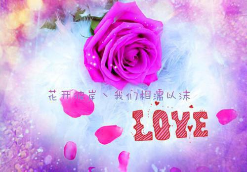 赞美书的格言