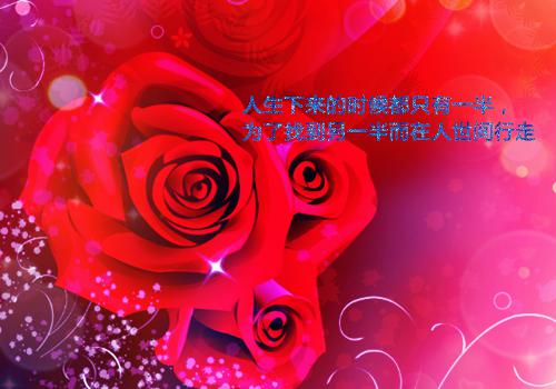 821343全文小说全章节目录免费阅读