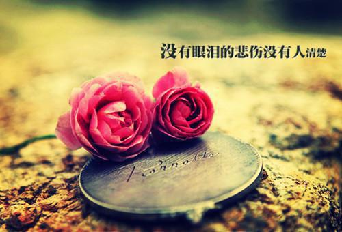 关于星星的绕口令