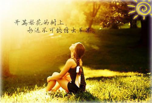 【热门】伤心的句子
