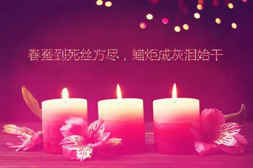 狼和小羊（中英）