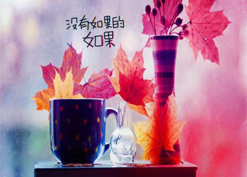 温柔真挚的感人情书
