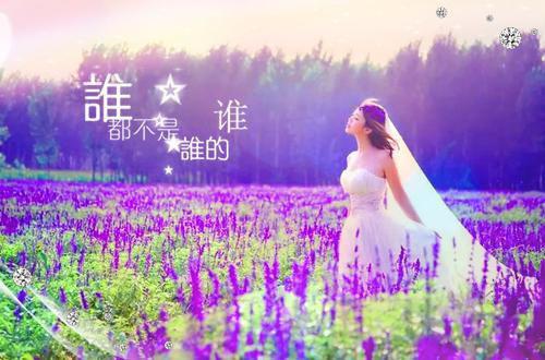 感悟人生的经典句子:生感悟经典语录