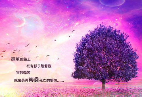 表白情书：相思不尽，锋利也不尽